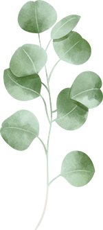 eukalyptus_vetvicka_mini